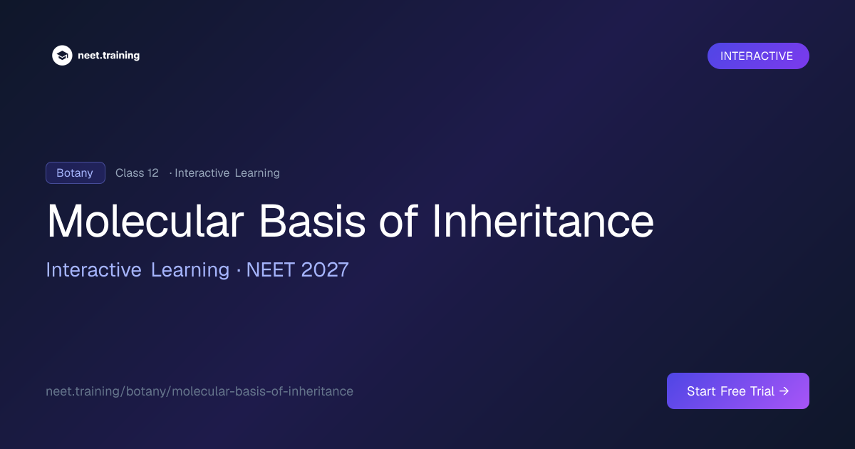 Molecular Basis of Inheritance, Interactive NEET Botany Learning | neet ...