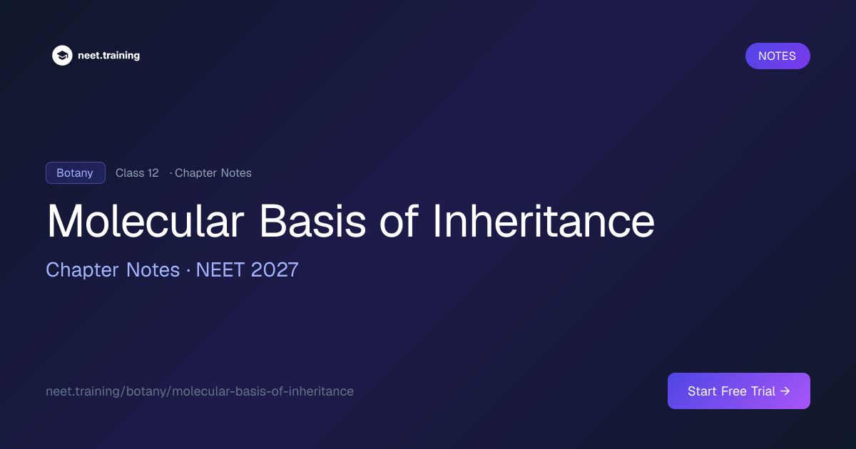Molecular Basis of Inheritance Notes for NEET, Class 12 NCERT | neet ...