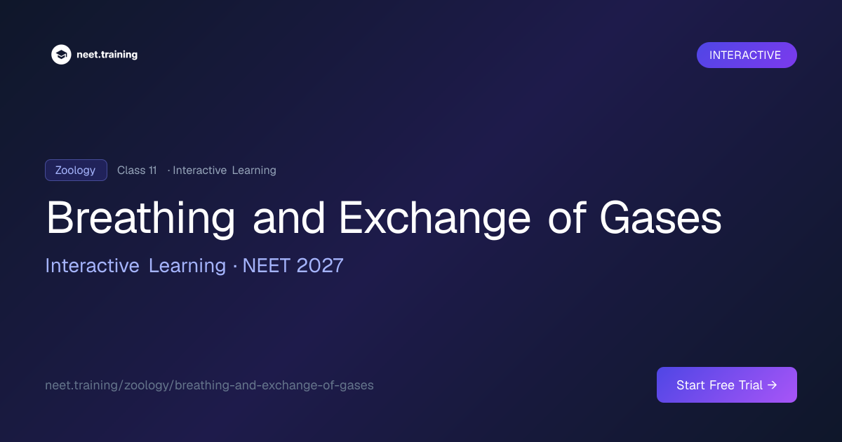 Breathing and Exchange of Gases: Interactive NEET Zoology Learning ...